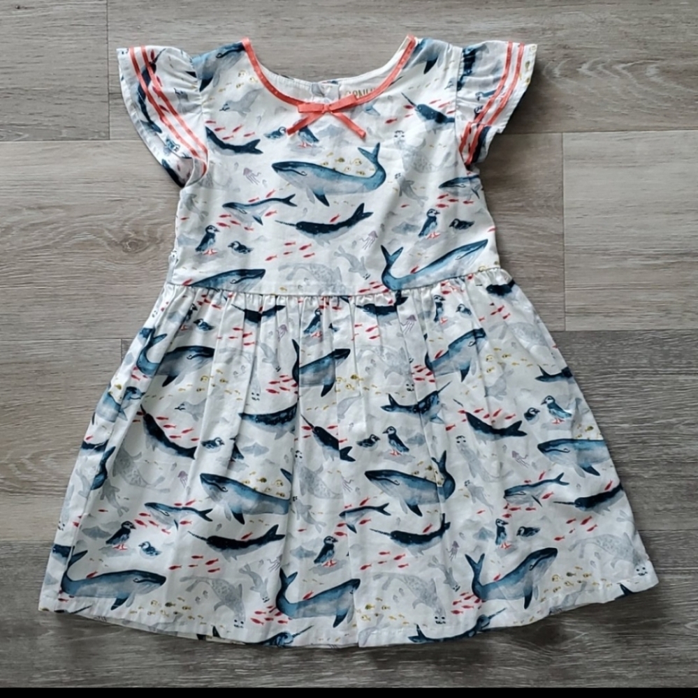 4T Girls Dresses